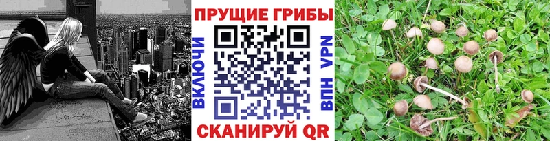 Галлюциногенные грибы Cubensis  Топки 